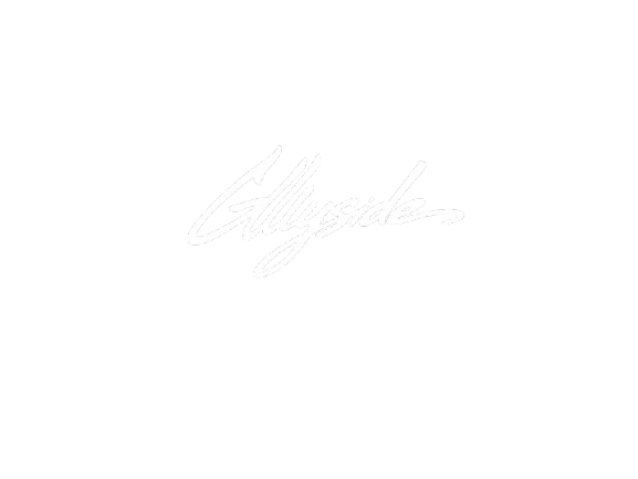 gullyside